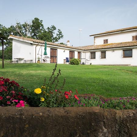 Agriturismo Il Poggio Vetralla Kültér fotó