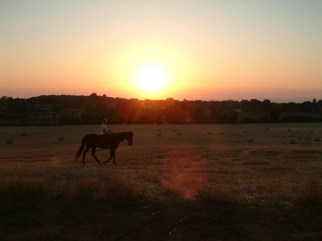 Agriturismo Il Poggio Vetralla Kültér fotó