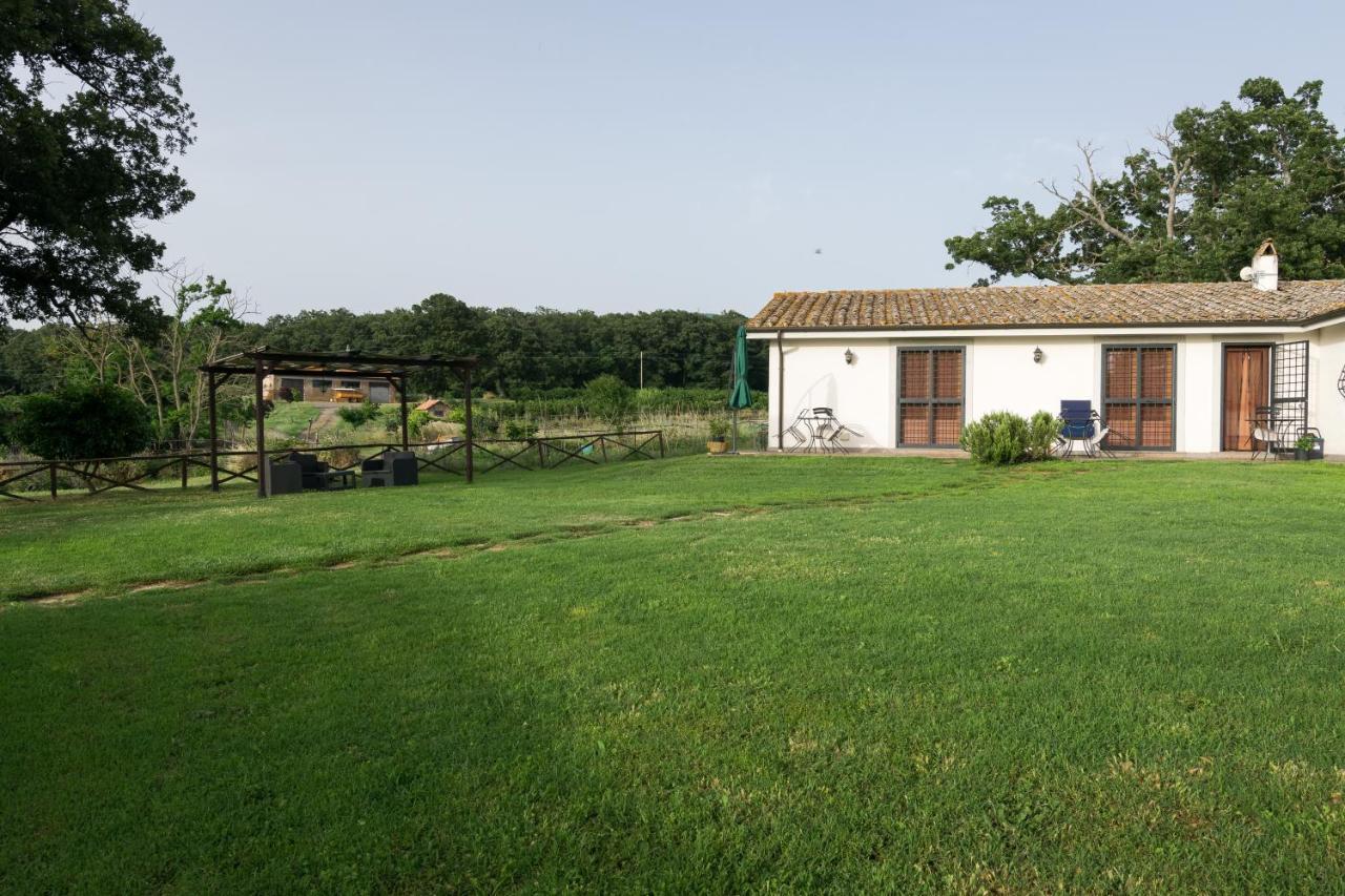 Agriturismo Il Poggio Vetralla Kültér fotó