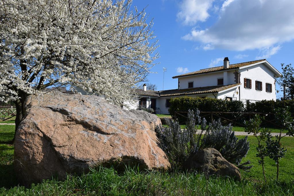 Agriturismo Il Poggio Vetralla Kültér fotó